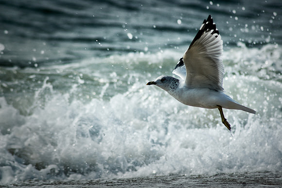 Liftoff!