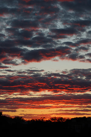 Sunset Sky