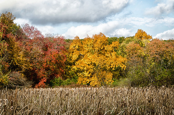 Fall at Rock Meadow