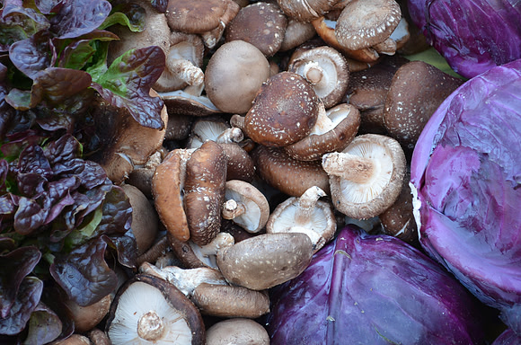 Mushrooms
