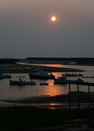 Pamet Silhouette