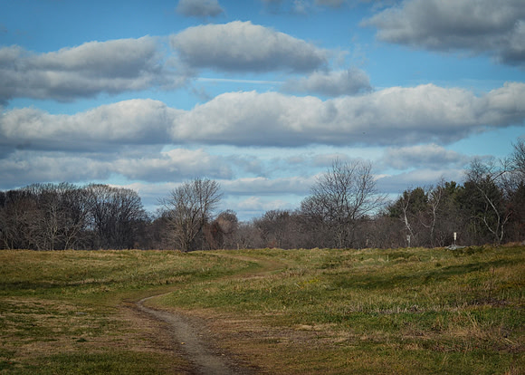 Rock Meadow