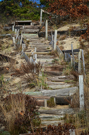 Driftwood Stairs