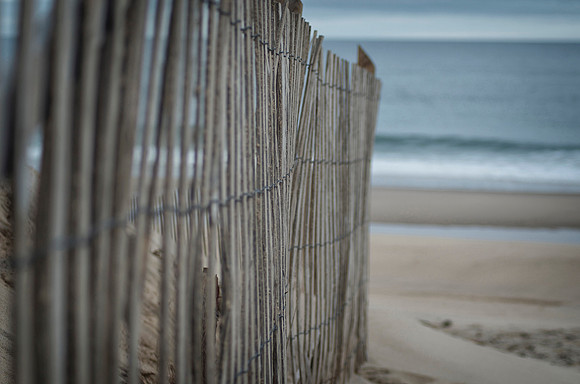 Follow The Fence