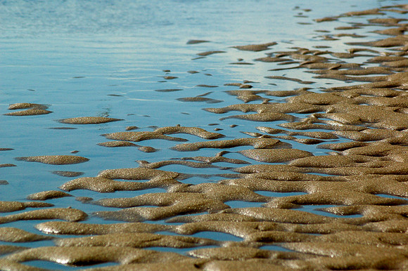 Low Tide At Long Nook