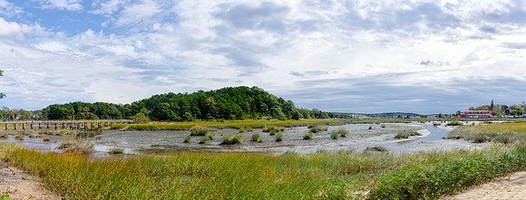 Wellfleet Harbor Marsh