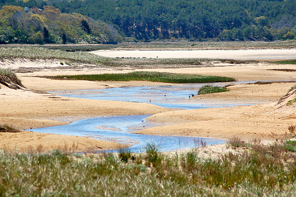 Corn Hill Tidal Stream