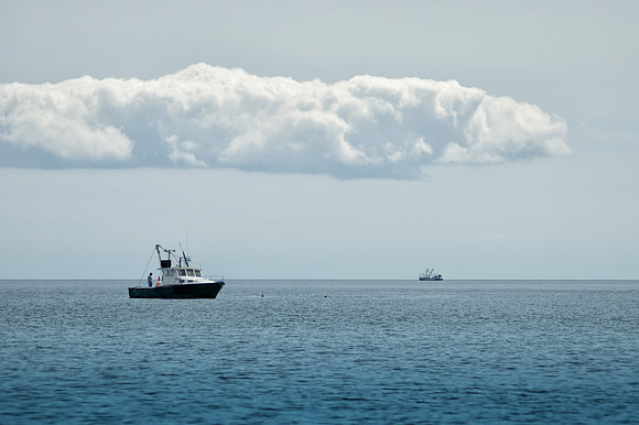 Fishing Off Race Point