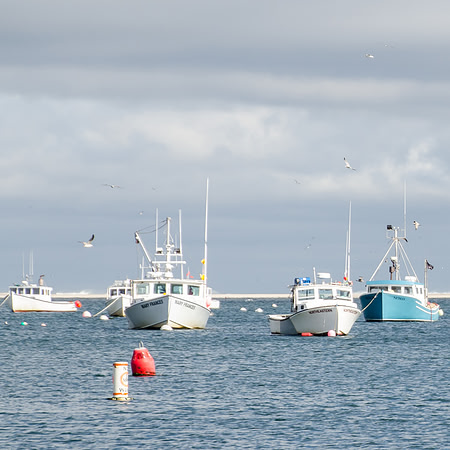 Chatham Boats 1