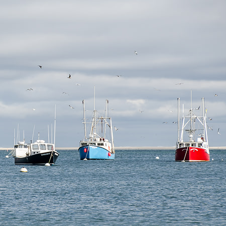 Chatham Boats 4