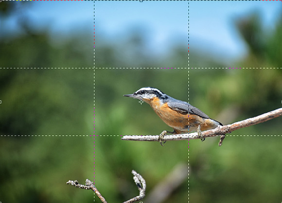 Rule Of Thirds
