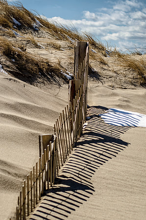 Race Point Erosion Fence