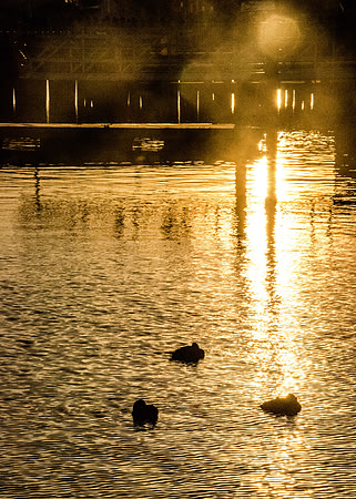 Winter in Provincetown Harbor